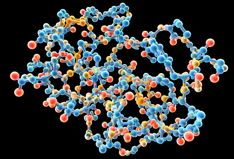 Custom Protein Expression
