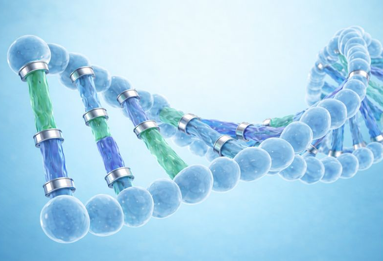 High-Fidelity & Long-Range PCR