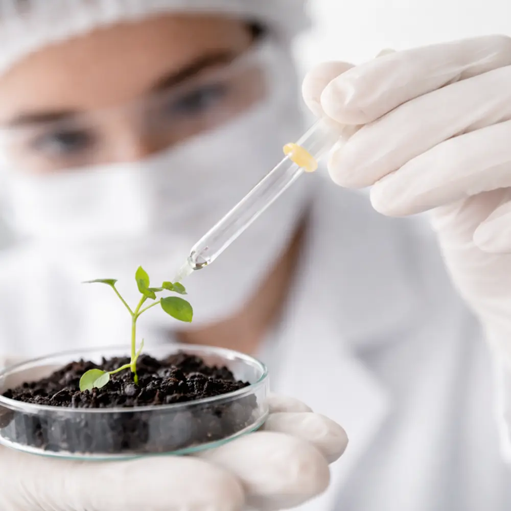 Plant Molecular Diagnostics