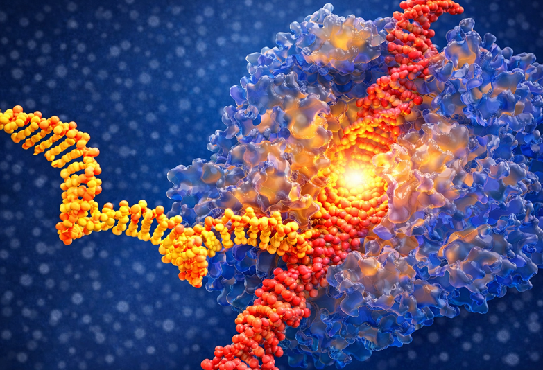 RT-PCR ENZYMES AND KITS
