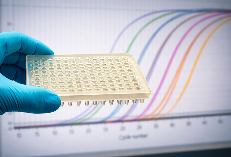 Real-Time PCR Master Mixes