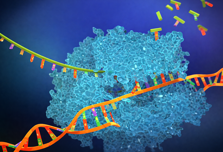PCR Enzymes and kits